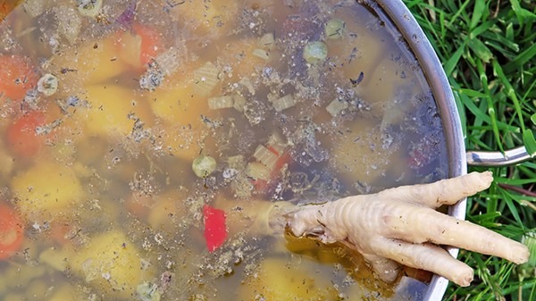 女子竟因杀鸡头痛抽搐险丧命 系感染隐球菌脑膜炎