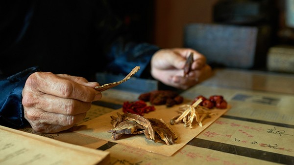 松茸是不是蘑菇的一种 常吃松茸对身体有什么好处