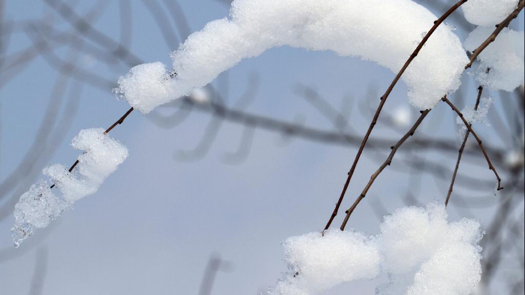 哈尔滨暴雪过后又来冻雨 辽宁多地积雪厚度已超过35厘米