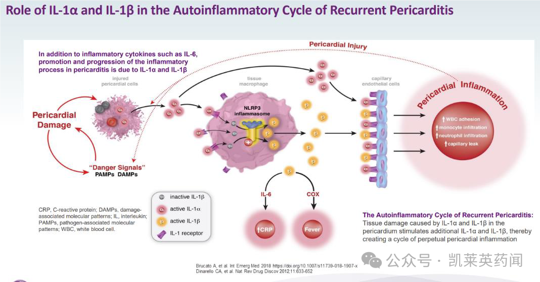 华东医药：剑指60亿美元市场！全球首创IL-1R融合蛋白用于复发性心包炎的BLA获NMPA受理
