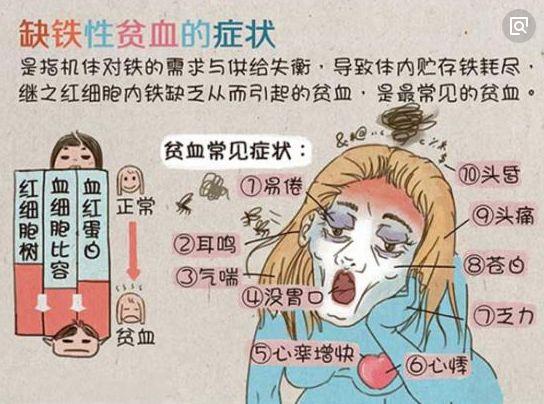 长的胖为什么贫血呢