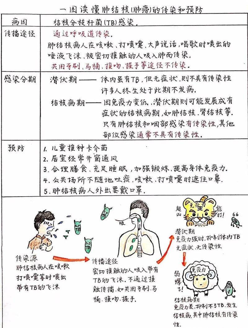 肺结核正常值范围