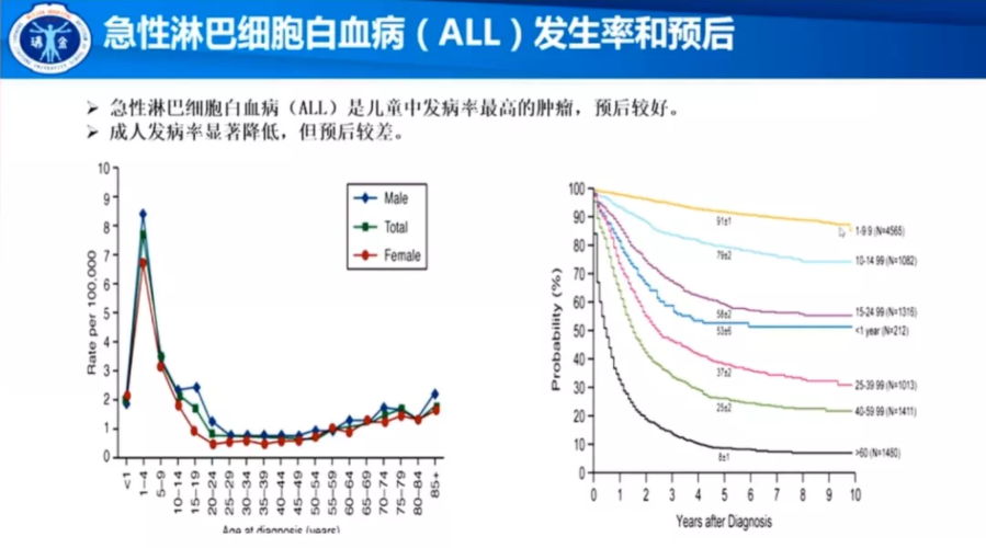 急性淋巴细胞白血病能治好吗