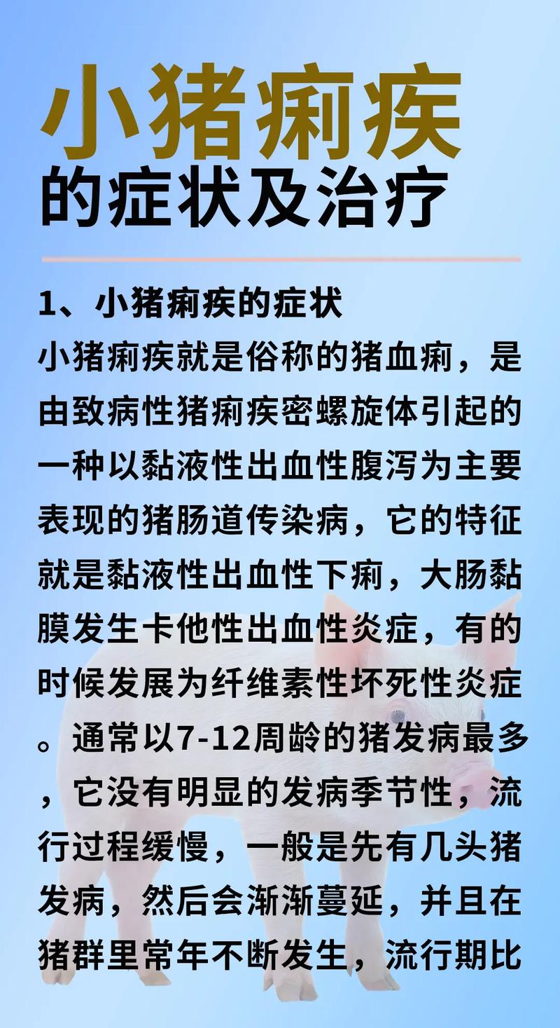 大便痢疾是什么症状怎么治疗