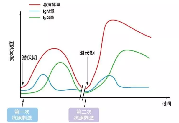 登革热igm抗体检查什么