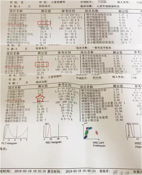 中度贫血检查结果是地贫吗