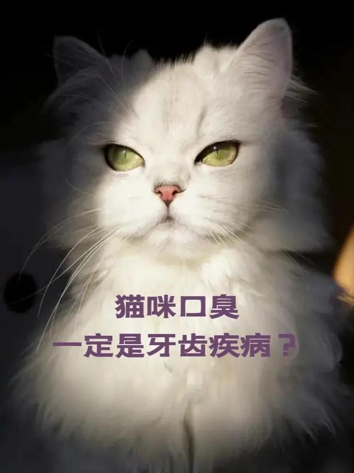 口臭，吞咽有异感是什么原因