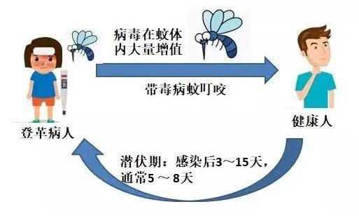 登革热病毒阳性是什么意思