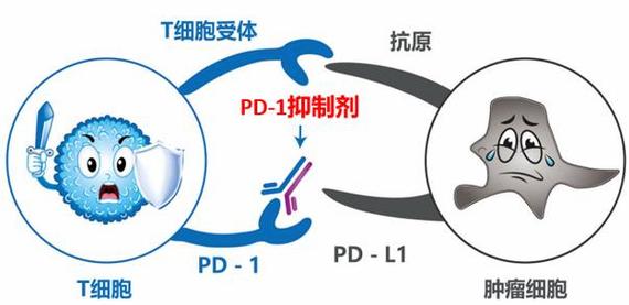 肠癌能进行生物免疫治疗吗