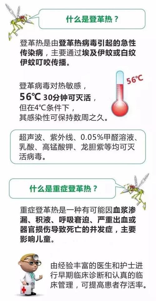 登革热病毒属于几级传染病