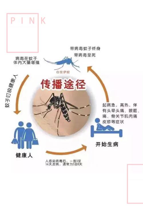 登革热病的传播途径是什么