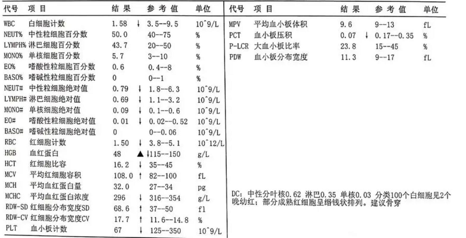 白血病原始粒细胞百分之五