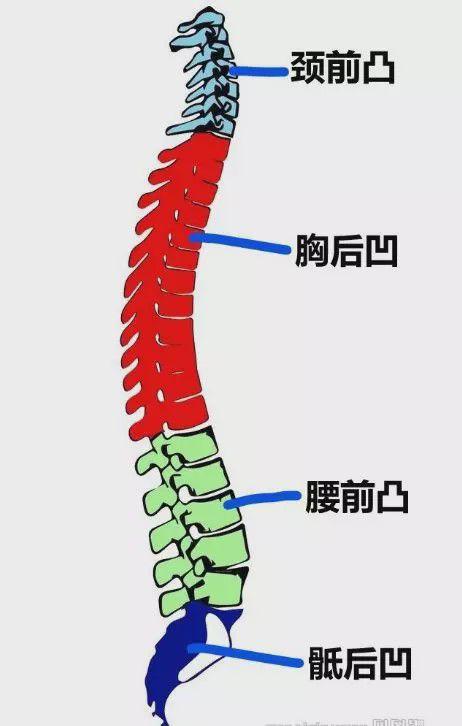 颈椎骨质增生变尖是什么原因