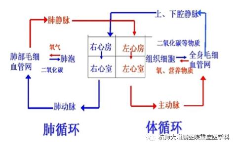 急性左心衰会引起肺水肿吗