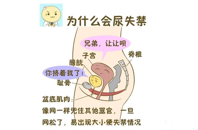 成人夜间尿失禁是什么原因