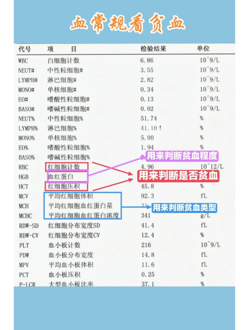 怎么样查贫血属于哪种贫血