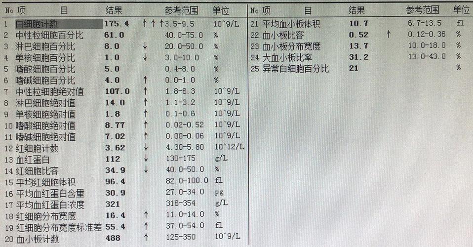 慢性粒细胞白血病晚期症状