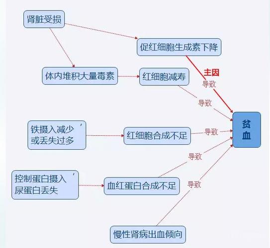 感染引起的贫血症状有哪些