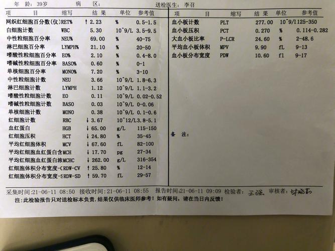 增生性贫血增生不良性贫血