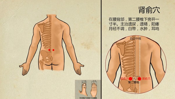 得了肾病综合征能不能上班