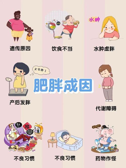 贫血的人了为什么容易发胖