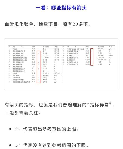 白血病血常规未成熟粒细胞