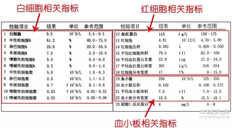 宝宝中粒细胞百分比低贫血