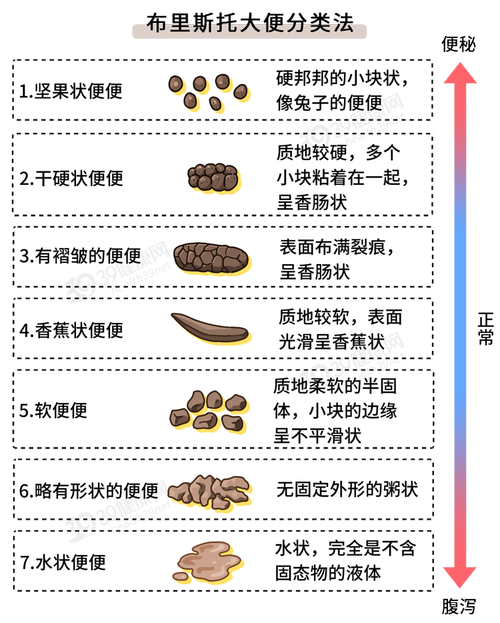 大便干结拉粘液会是痢疾吗