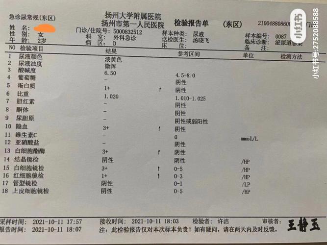 尿路感染尿常规有哪些异常