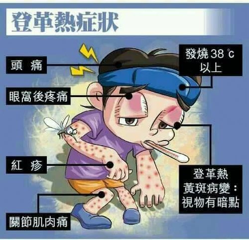 登革热白细胞增高的原因