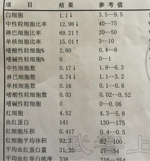 白血病中粒细胞低怎么办