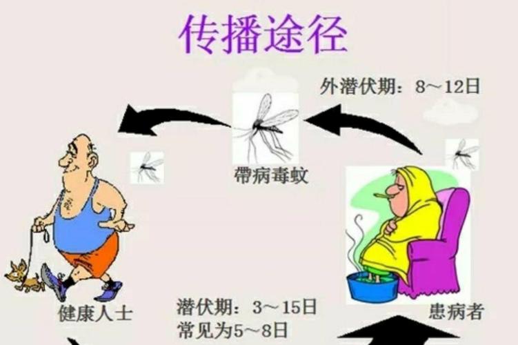 登革热病毒是怎么消失的