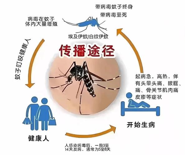 登革热病毒靠蚊子传播吗