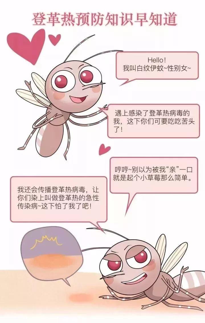 登革热病不能服用氯喹吗