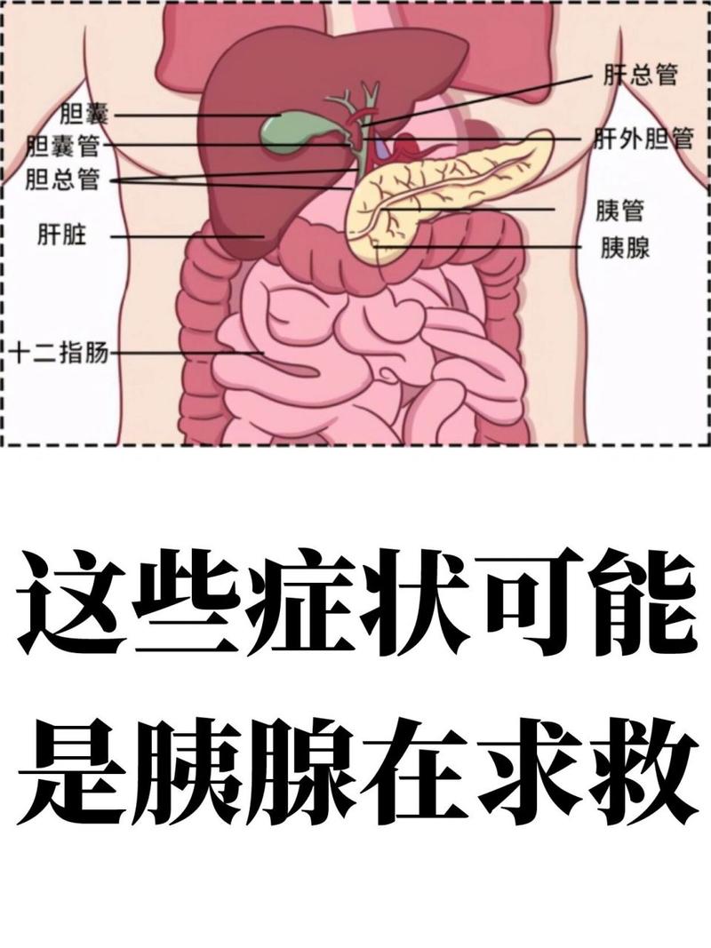 胰头癌晚期肠梗阻不能进食