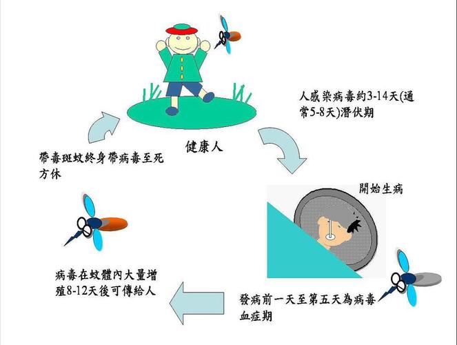 登革热病毒如何繁衍后代