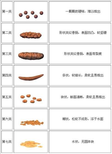 大便呈菱形状与痔疮有关么