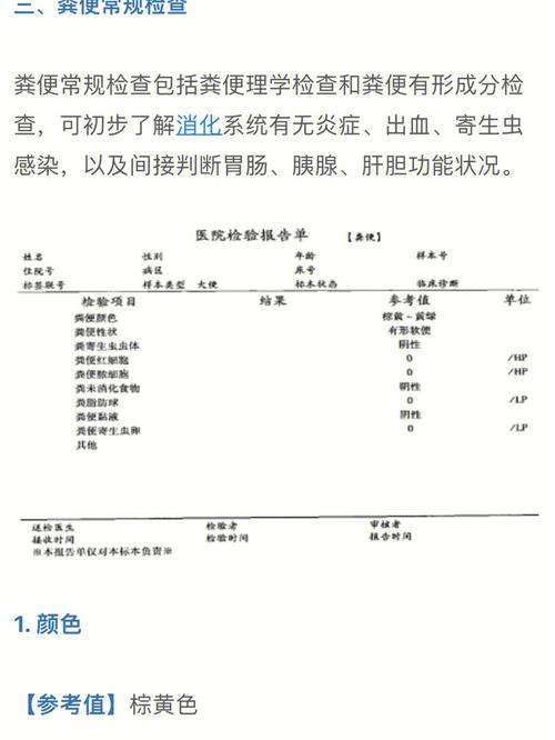 大便常规白细胞红细胞痢疾