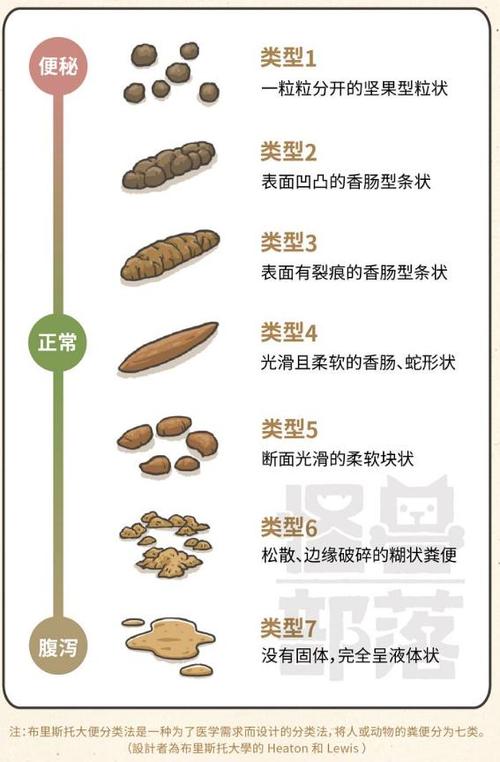 大便呈菱形状与痔疮有关么