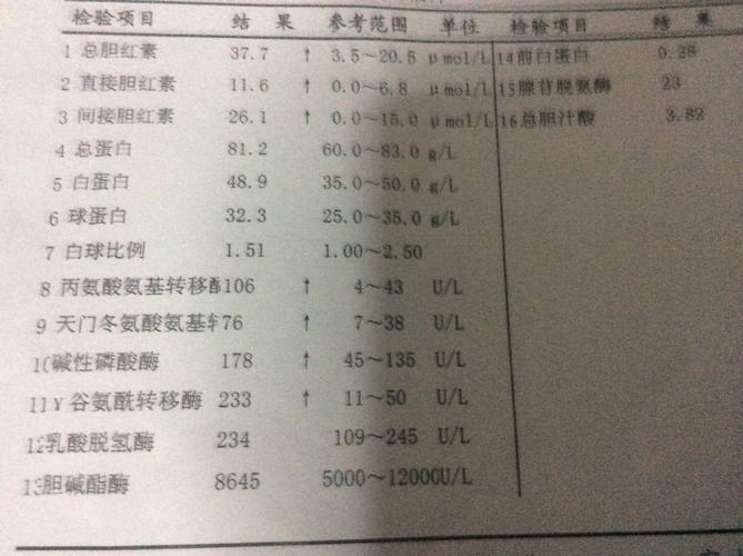 白血病血液指标哪个高？