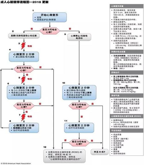 创伤性心脏骤停在什么情况下？