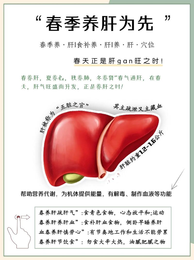 成年人接种乙肝疫苗后不能吃什么