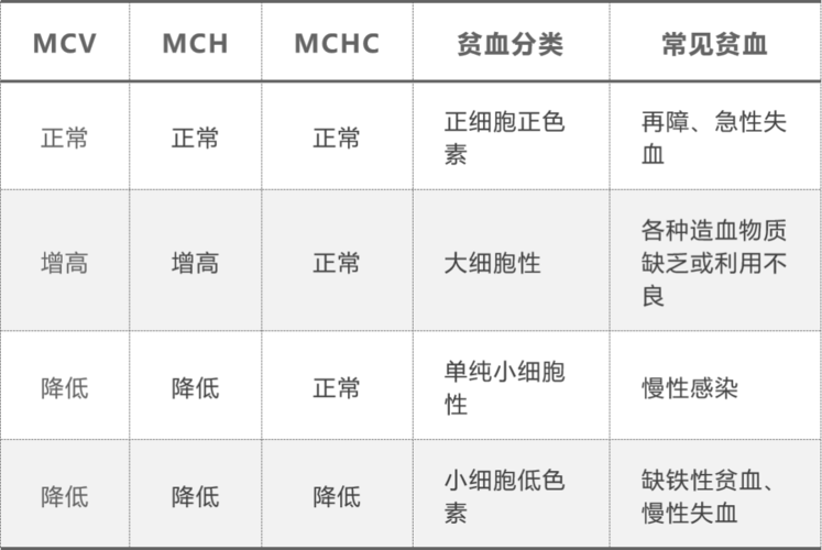 大细胞贫血与小细胞贫血的区别