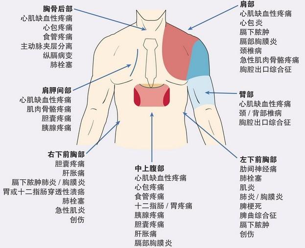 创伤性肋间神经痛怎么办？