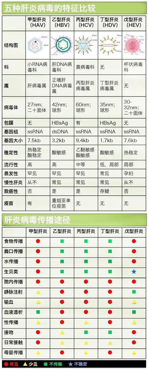 病毒性肝炎的典型症状是什么