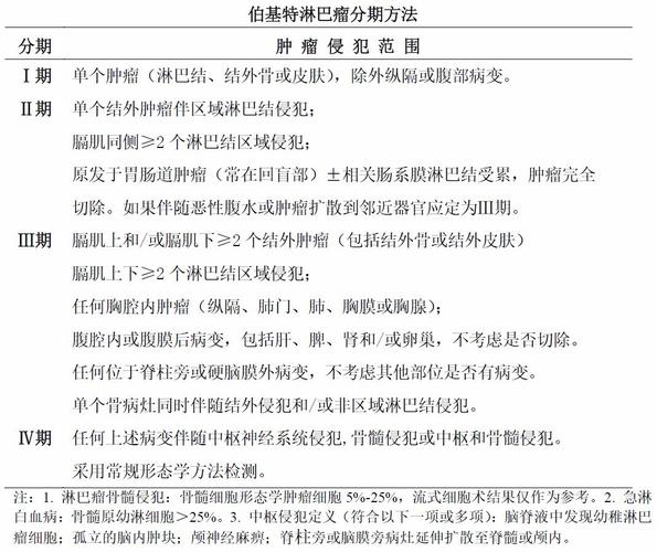 B细胞淋巴瘤的治疗方案有什么