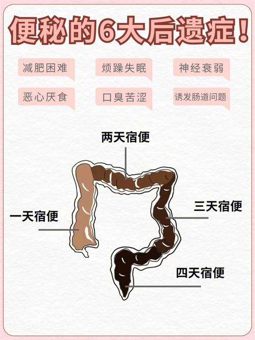 便秘的原因是什么 吃得太少竟会引起这问题