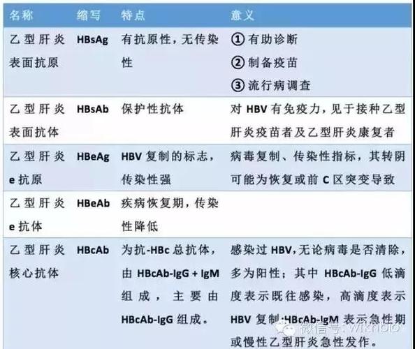 丙肝比乙肝更易转变为慢性肝炎