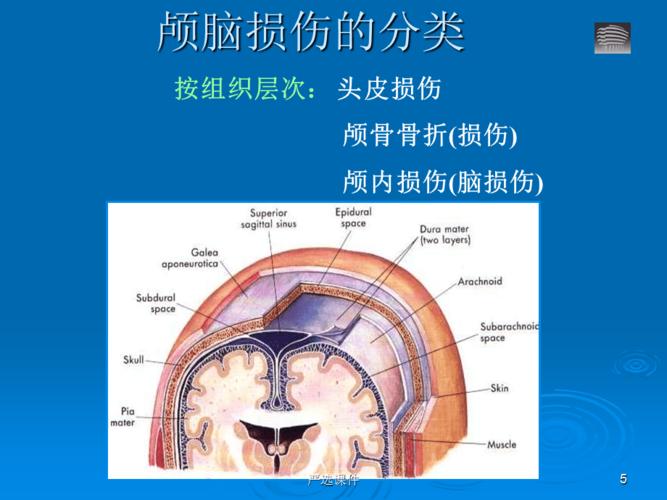 闭合性颅脑损伤会影响眼睛吗