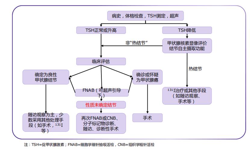 甲状腺癌导致低钾的原理